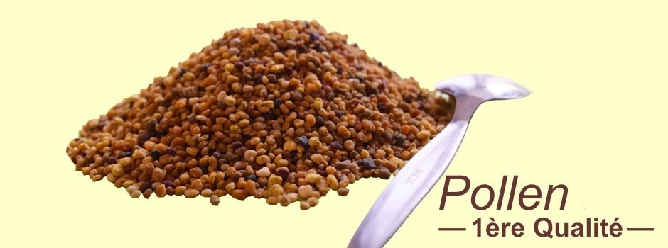 Pollen d'abeille bio alimentaire de 1ere qualité
