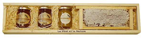 Miel biologique de nos forêts du Massif Central Miel en Coffret cadeau: Offrez notre meilleur miel sous ses formes pressé à froid et en rayon
